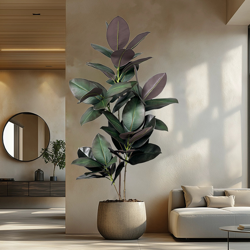 Rubber Plant Ficus - Arbre artificiel Ficus de 70-150 cm,