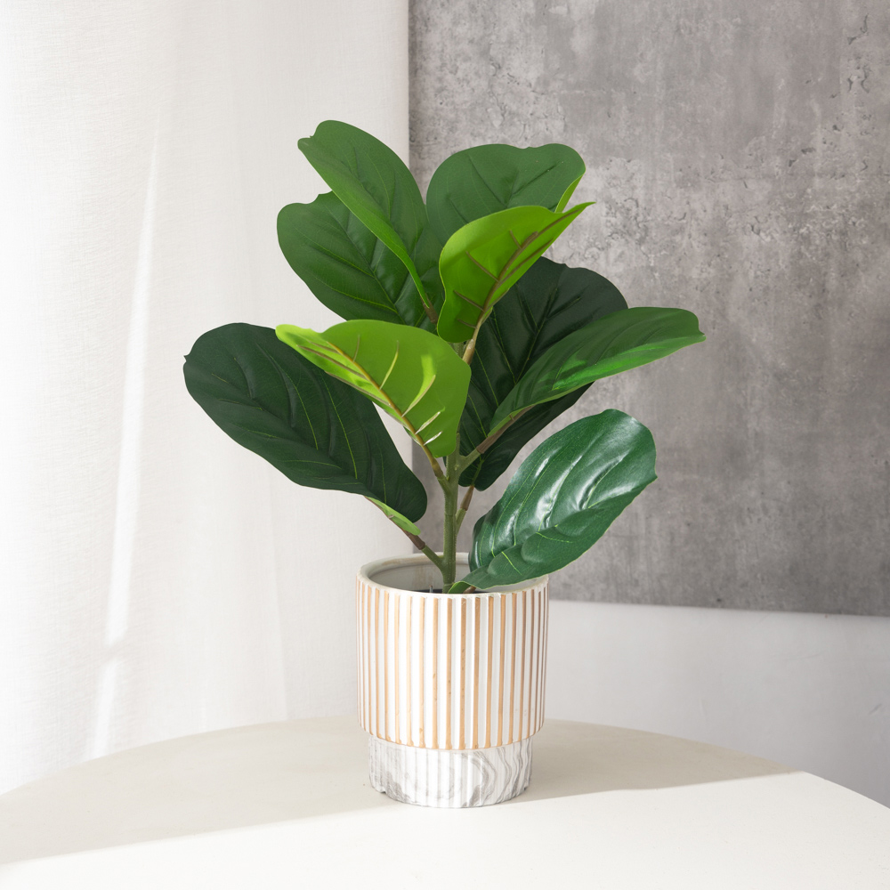 Rubber Plant Ficus - Plantes de Ficus artificielles 38cm, 9