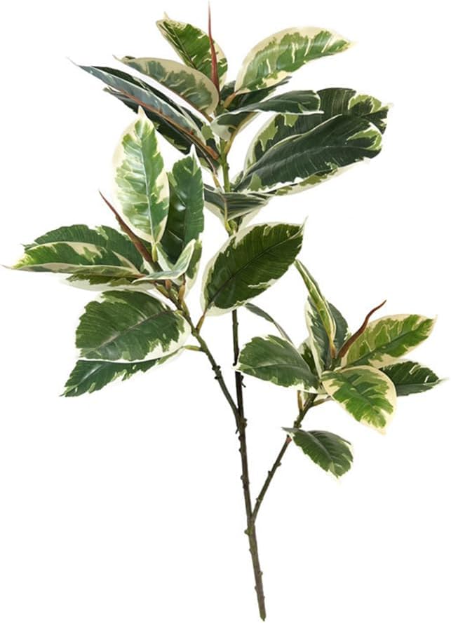 Rubber Plant Ficus - Ficus Tineke plante artificielle 31 
