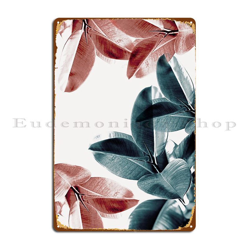 Rubber Plant Ficus - Feuilles de plantes en caoutchouc, feuilles