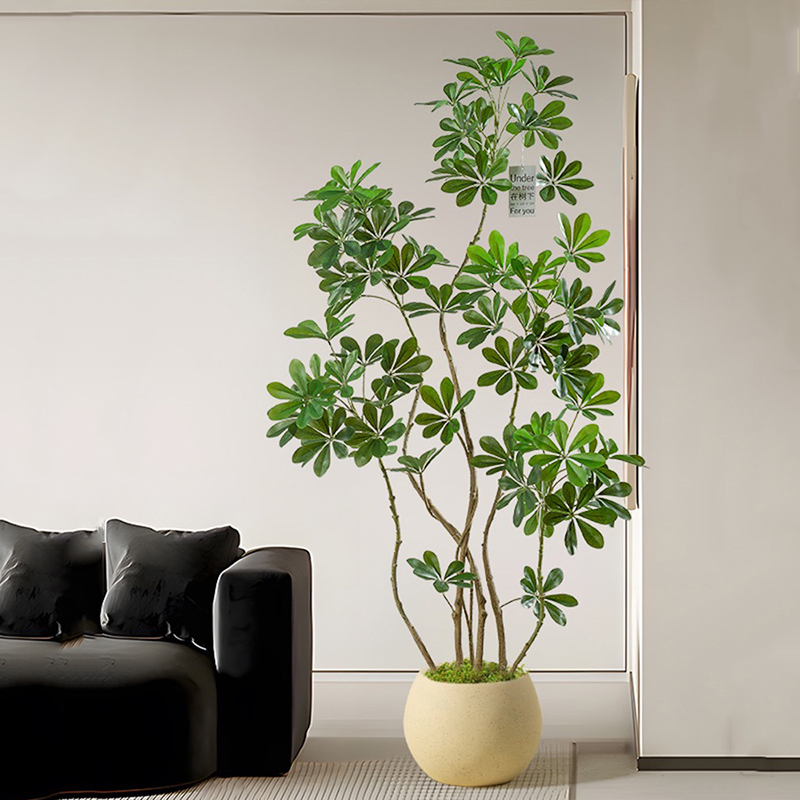 Rubber Plant Ficus - Grand Ficus Artificiel de 31 à