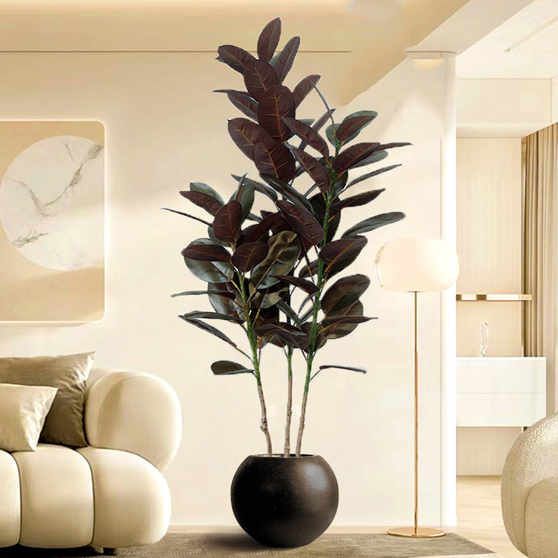 Rubber Plant Ficus - Grand Ficus en Caoutchouc Artificiel, Plantes
