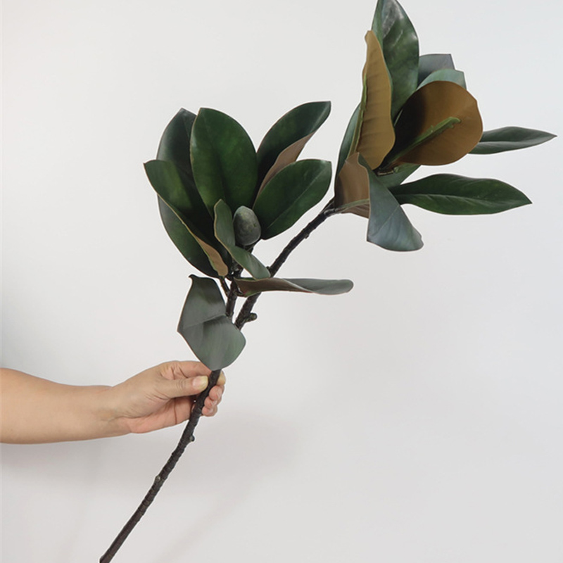 Rubber Plant Ficus - Grandes Plantes Artificielles, Faux Ficus, Branche