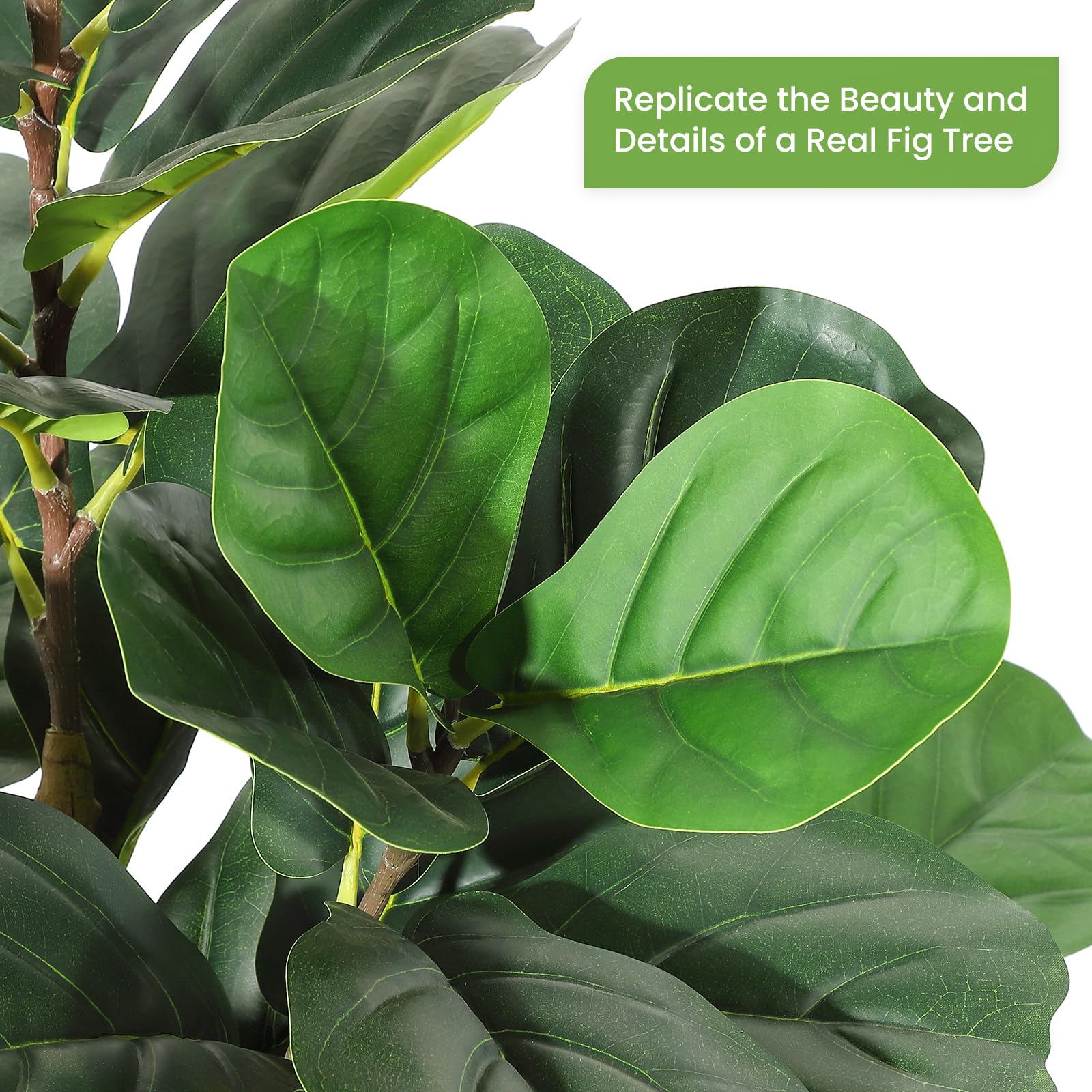 Ficus lyrata artificiel avec p - Rubber Plant Ficus avis et prix