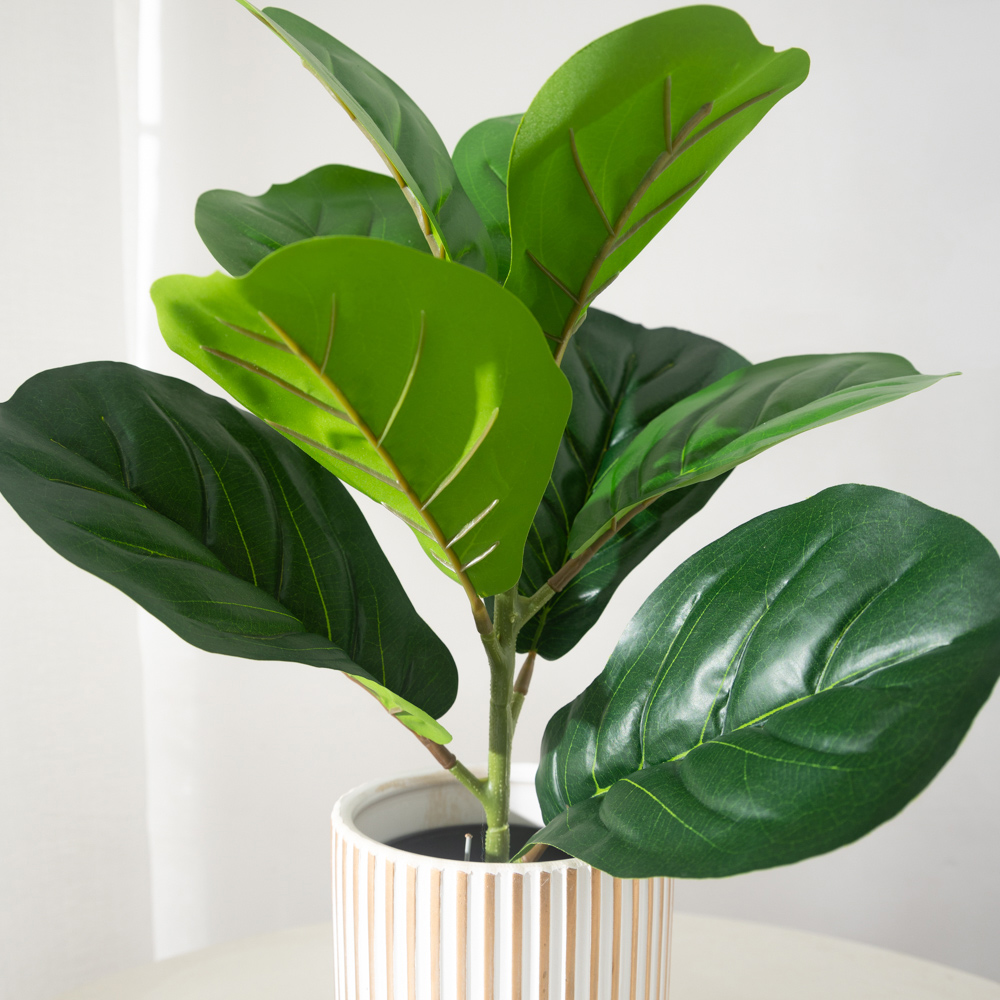 Plantes de Ficus artificielles - Rubber Plant Ficus avis et prix