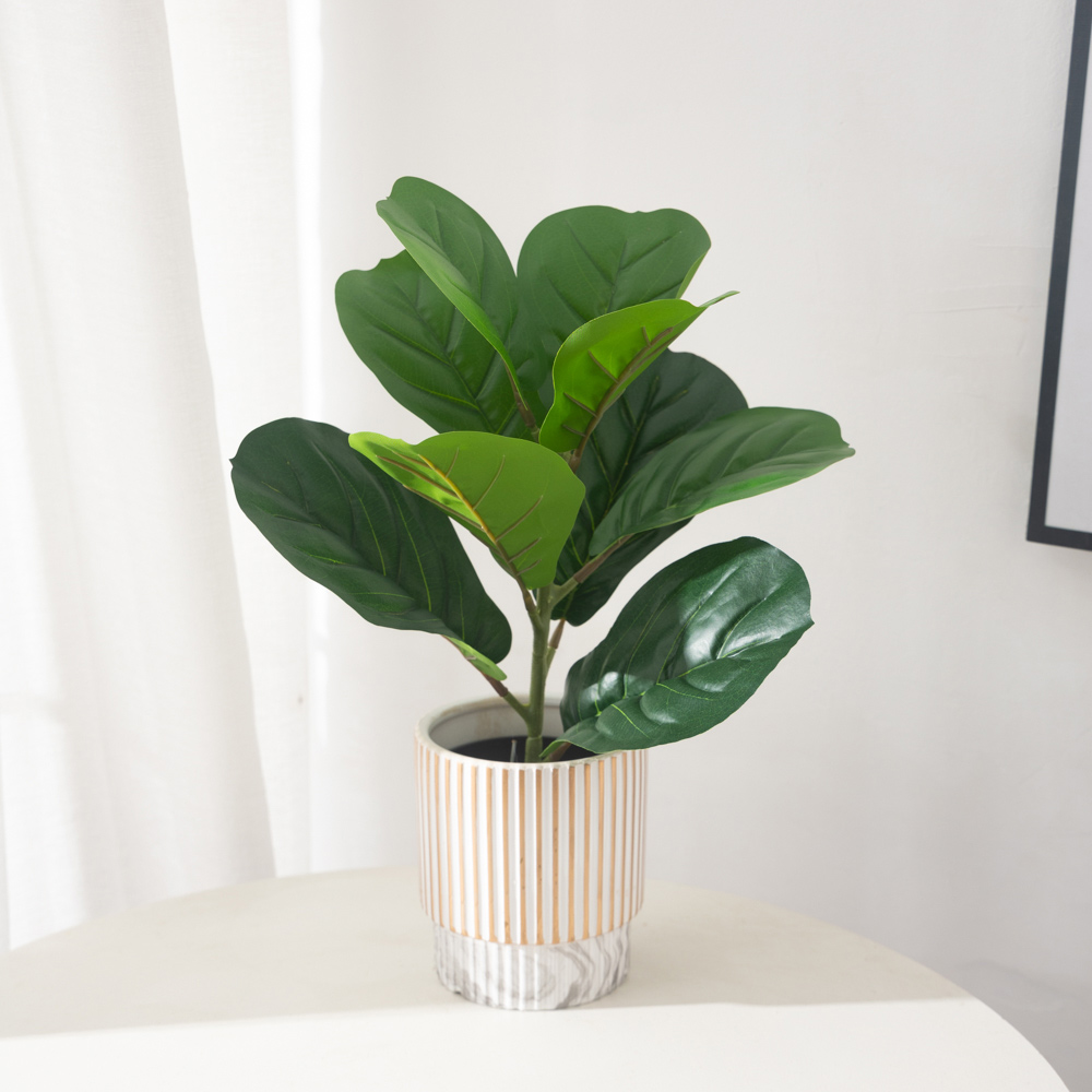 Plantes de Ficus artificielles - Rubber Plant Ficus avis et prix