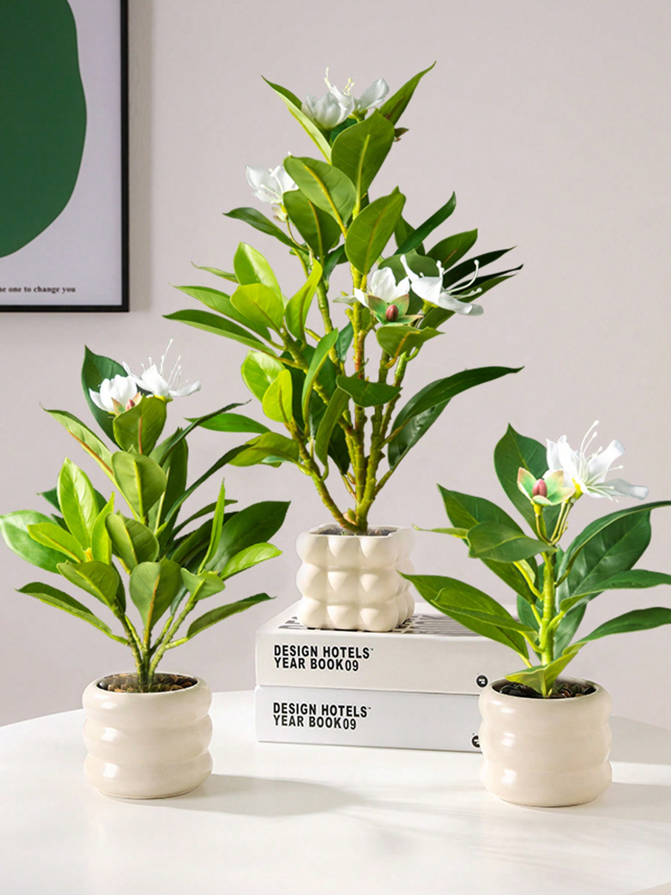 Plantes Azaleas artificielles  - Rubber Plant Ficus avis et prix