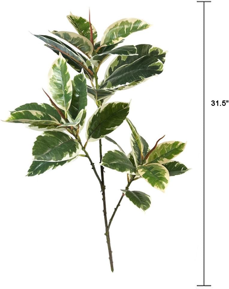 Ficus Tineke plante artificiel - Rubber Plant Ficus avis et prix