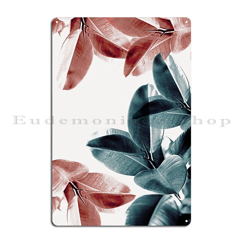 Feuilles de plantes en caoutch - Rubber Plant Ficus avis et prix