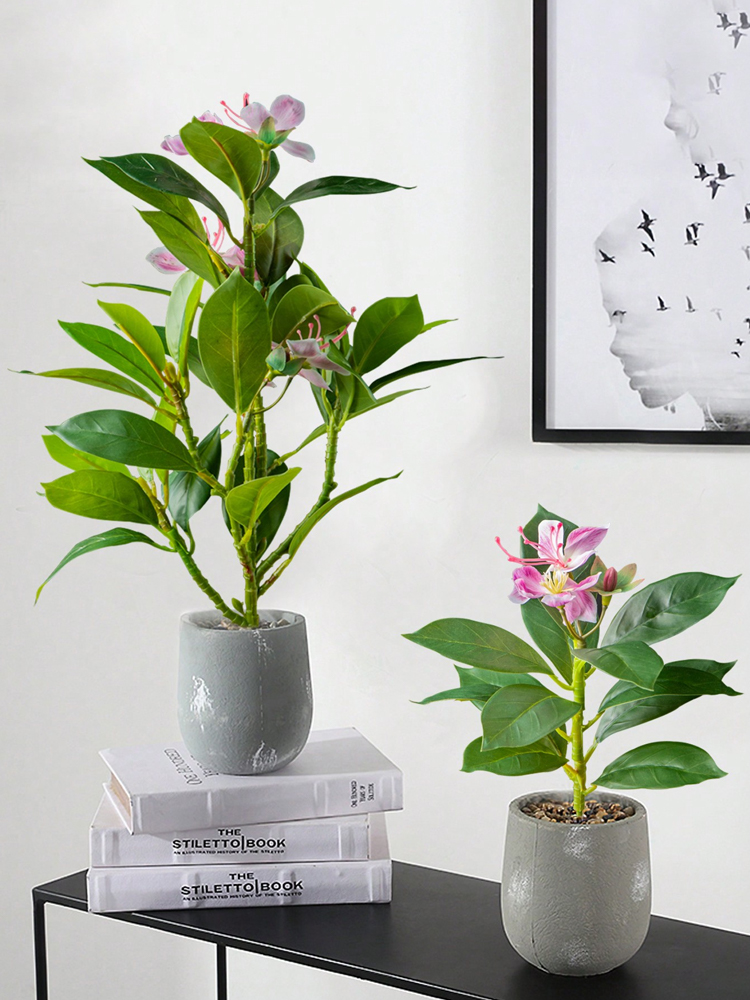 Plantes Azaleas artificielles  - Rubber Plant Ficus avis et prix