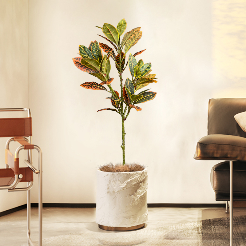 Grand arbre Ficus artificiel d - Rubber Plant Ficus avis et prix
