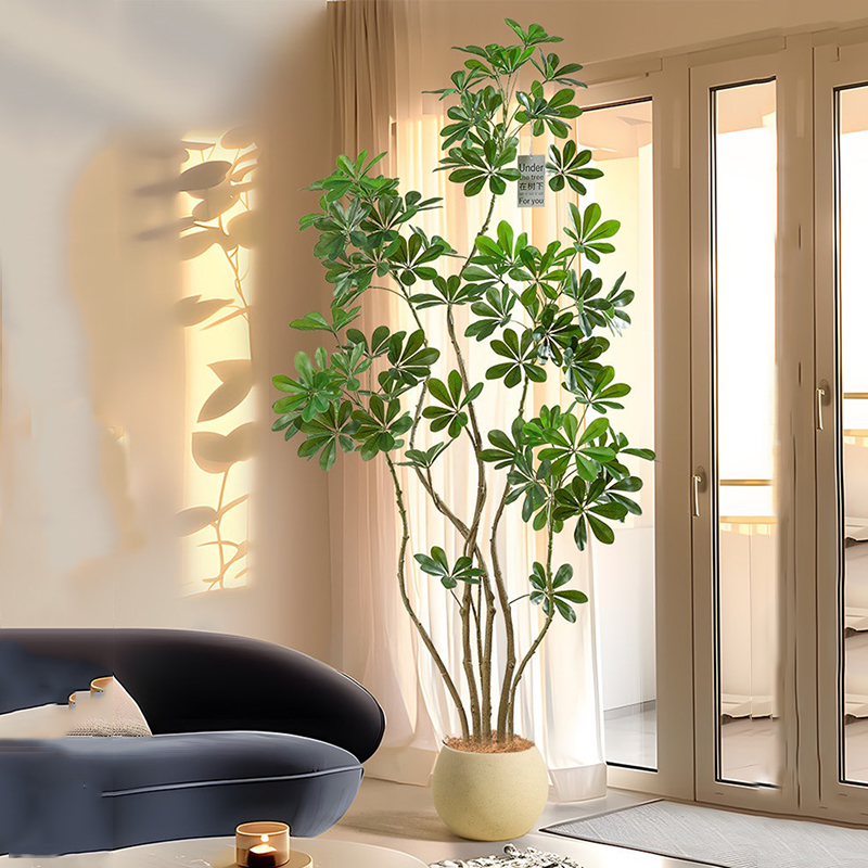 Grand Ficus Artificiel de 31 à - Rubber Plant Ficus avis et prix