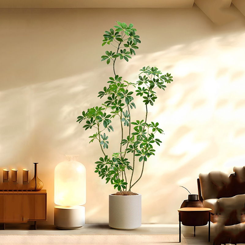 Grand Ficus Artificiel de 31 à - Rubber Plant Ficus avis et prix