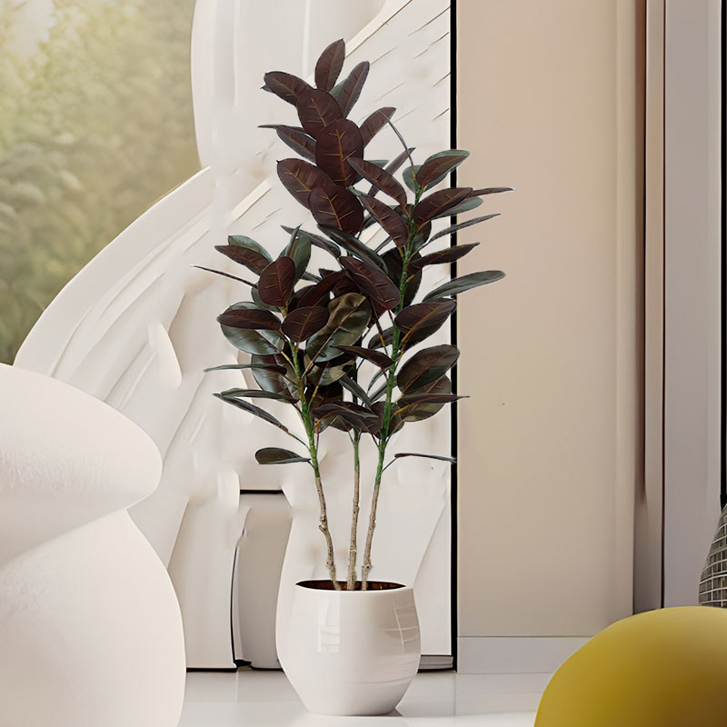 Grand Ficus en Caoutchouc Arti - Rubber Plant Ficus avis et prix