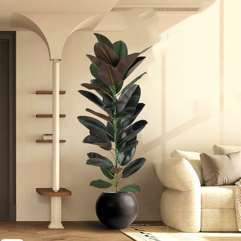 Grand Ficus en Caoutchouc Arti - Rubber Plant Ficus avis et prix