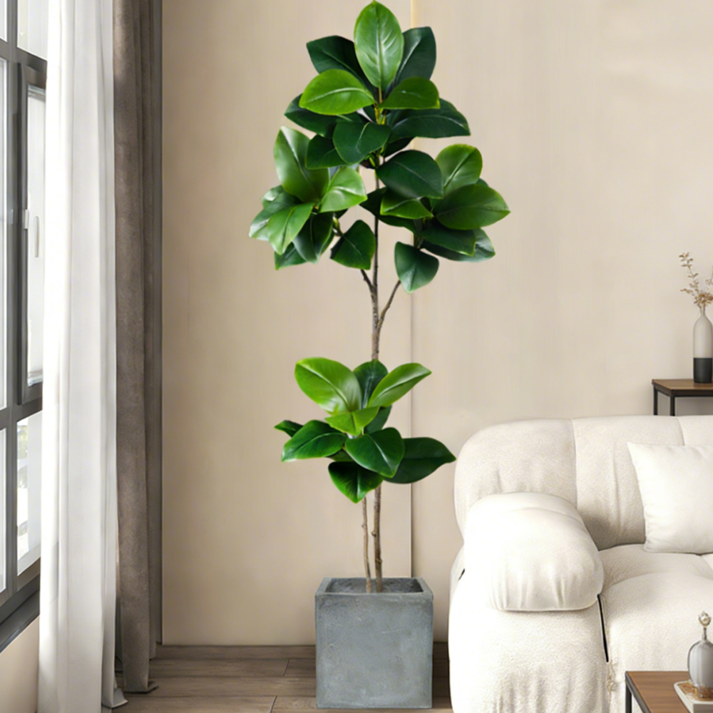 Arbre en caoutchouc artificiel - Rubber Plant Ficus avis et prix