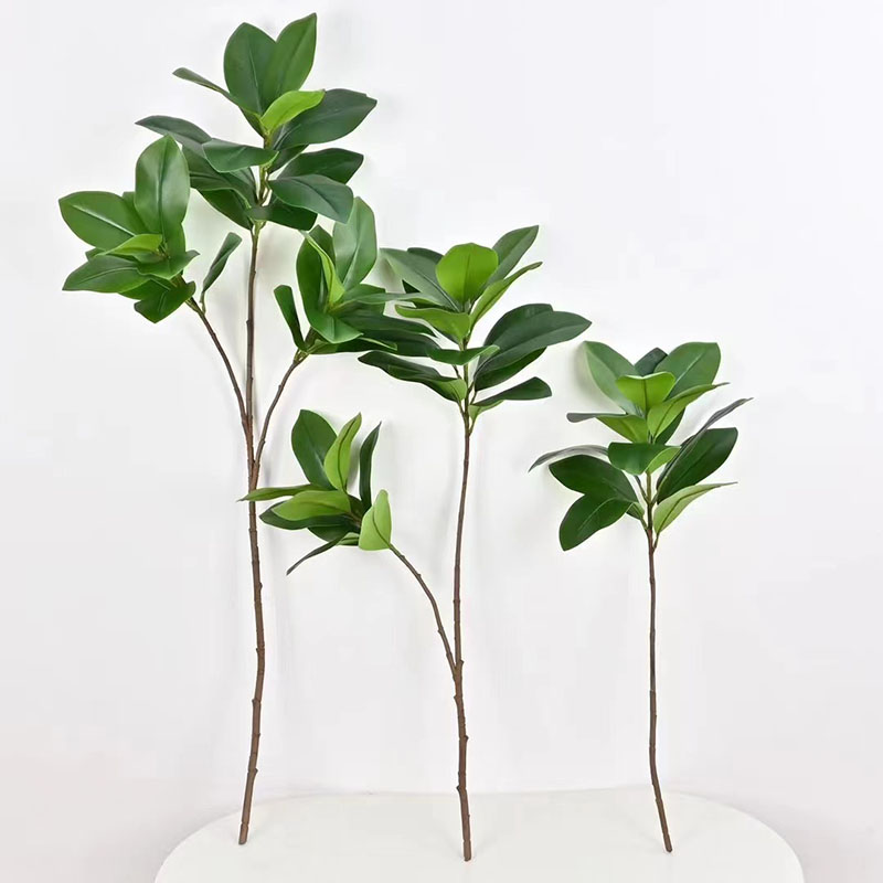 Grandes Fausses Plantes Banyan - Rubber Plant Ficus avis et prix