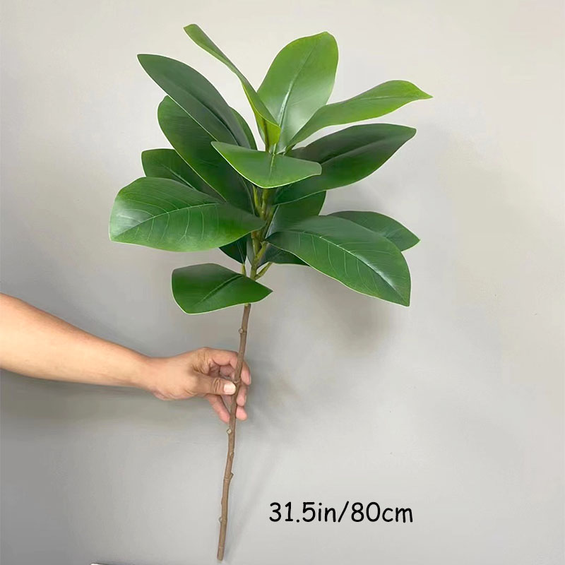 Grandes Fausses Plantes Banyan - Rubber Plant Ficus avis et prix