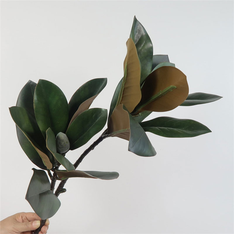Grandes Plantes Artificielles, - Rubber Plant Ficus avis et prix
