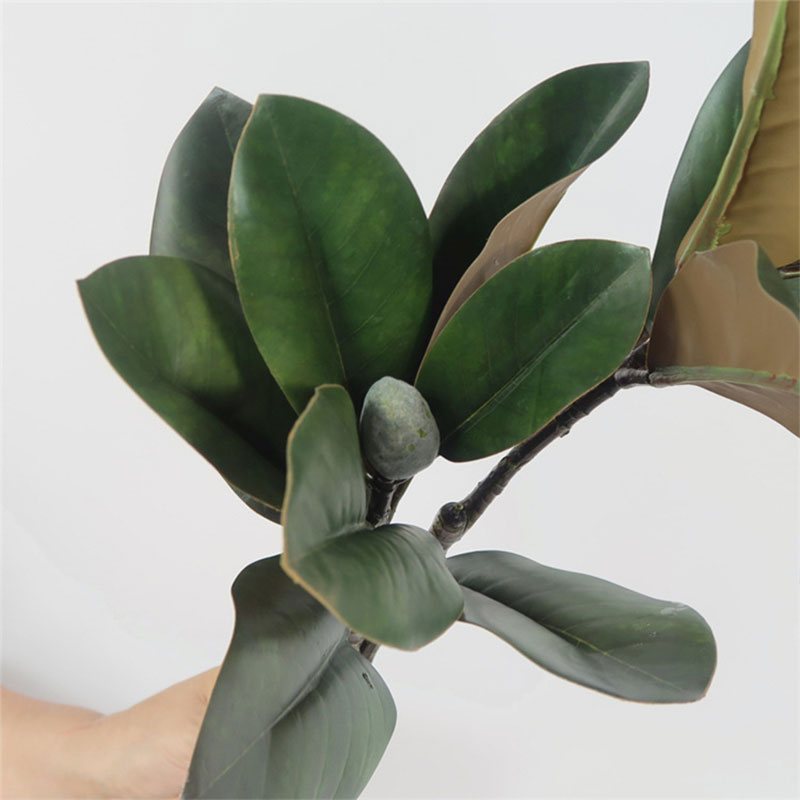 Grandes Plantes Artificielles, - Rubber Plant Ficus avis et prix