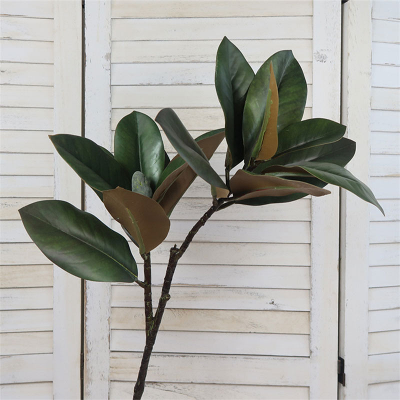 Grandes Plantes Artificielles, - Rubber Plant Ficus avis et prix