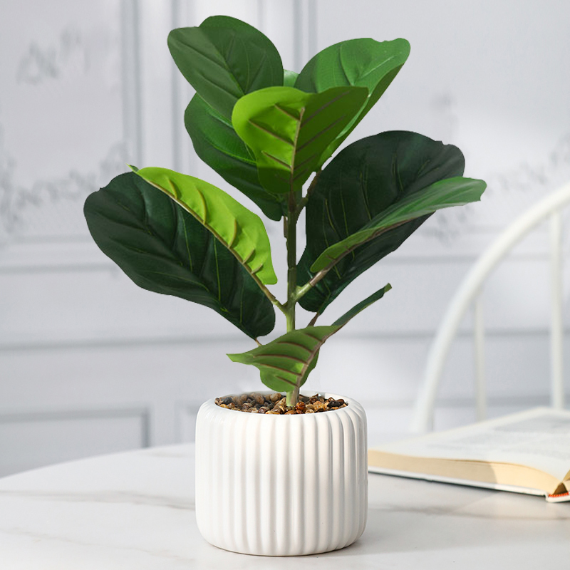 Faux arbre de Ficus artificiel - Rubber Plant Ficus avis et prix