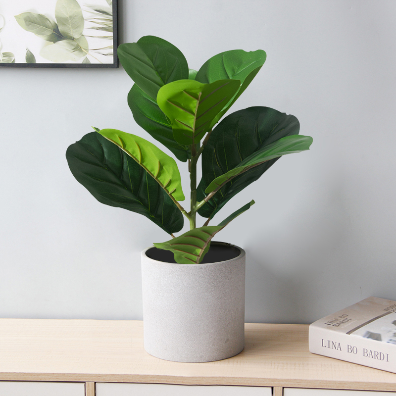 Faux arbre de Ficus artificiel - Rubber Plant Ficus avis et prix